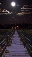 Discovering Where This Path Leads