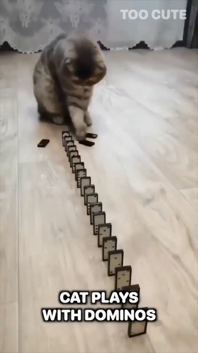 Amazing Animal Adventures: Thrilling Encounters with Wildlife