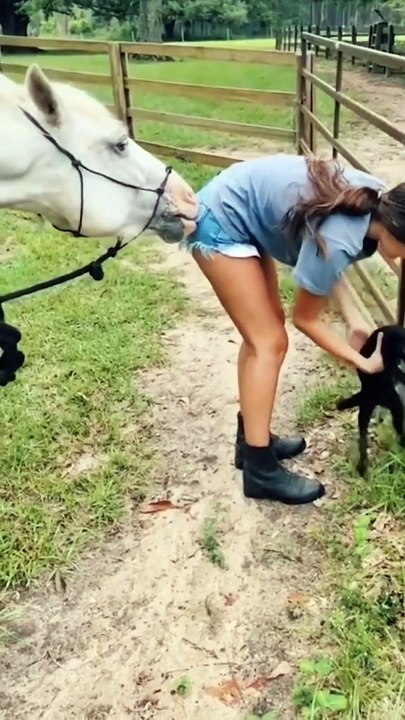 "Wildlife Wonders: Fascinating Creatures and Their Behaviors