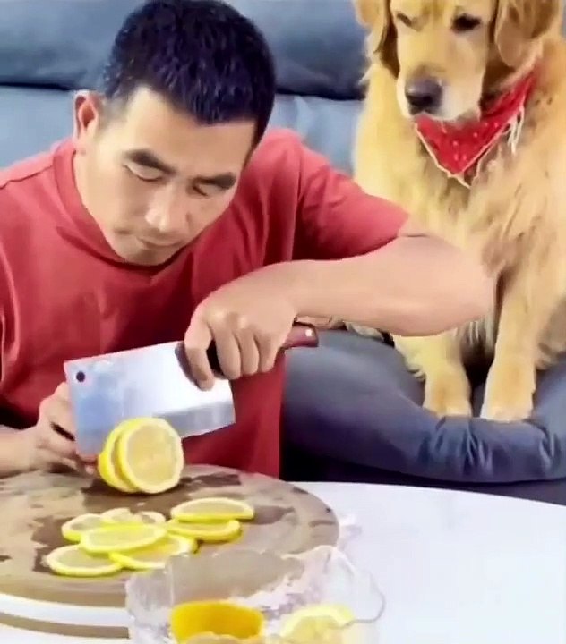 "Amazing Animal Adventures: Thrilling Encounters with Wildlife"