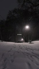 Enough Excuses - Gym Motivation