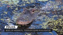 Missing 2-Year-Old Florida Boy Found Dead in Alligator's Mouth, Police Say
