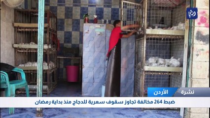 ضبط 264 مخالفة تجاوز سقوف سعرية للدجاج منذ بداية رمضان