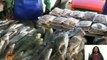 Mirandinos adquieren pescado a precios solidarios con el operativo Venezuela Come Pescado 2023