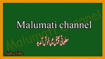 Islamic common sense paheliyan in Urdu || Islami info with answer || Urdu maloomat || Islami maloomati sawal jawab