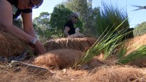 Sydney women build refuges for local wildlife