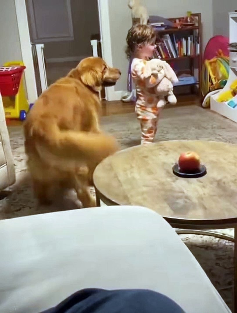 funny animal video | funny animals 2023 | funny