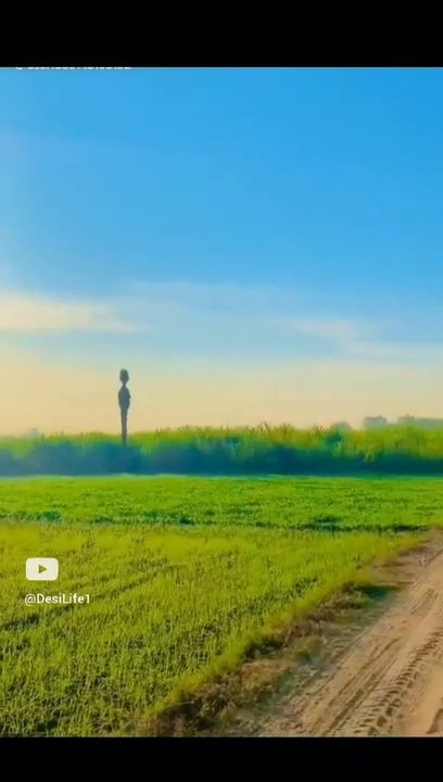 tu kuja man kuja Naat Maqbol e Rasool  #shorts #videos #nature | kamran desi life