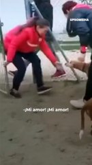 Perrito es encontrado por su dueña luego de cinco años.