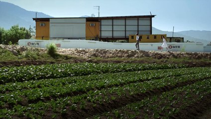 Somewhere Beyond the Mist (2017) Watch HD