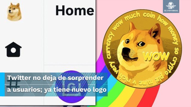 Perro del Dogecoin sorprende en Twitter; Elon Musk lo presenta como nuevo logo