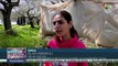 Siria: Familias damnificadas por el terremoto exigen levantamiento del bloqueo estadounidense