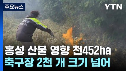 충남 홍성 산불 사흘째...추가 확산 저지에 총력 / YTN