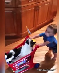 Baby and Cats Playing Together - Funny Baby and Pets Moments