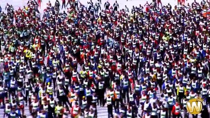 HUMANS ARE AWESOME [NEW VERSION]