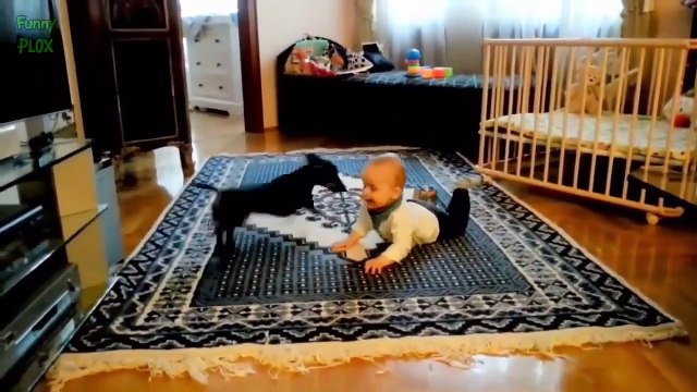 Funny Cats and Babies Video LOL Cute Funny Animals Fails Compilation Funny Baby Cats 2015 HD 720p