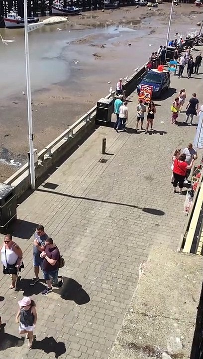 Gulls steal food from tourists   Des goélands volent de la nourriture à des touristes