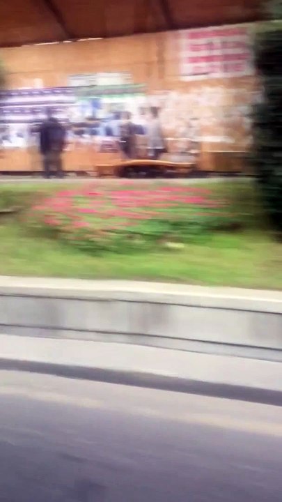 Un homme retrouve son chien perdu après 3 ans (Géorgie)   A man finds his lost dog after 3 years (Georgia)