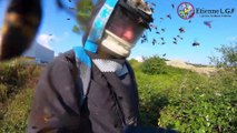 Impressive asian hornet attack (France)   Attaque de frelons asiatique (Landes)