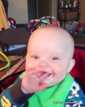 Chubby Baby Twins Playing Together Moments Cute Twins Baby Video