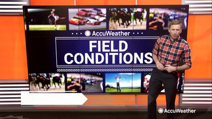 Your sports forecast for the first week of April