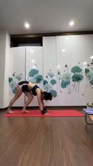 HANDSTAND POSE - LidiYoga