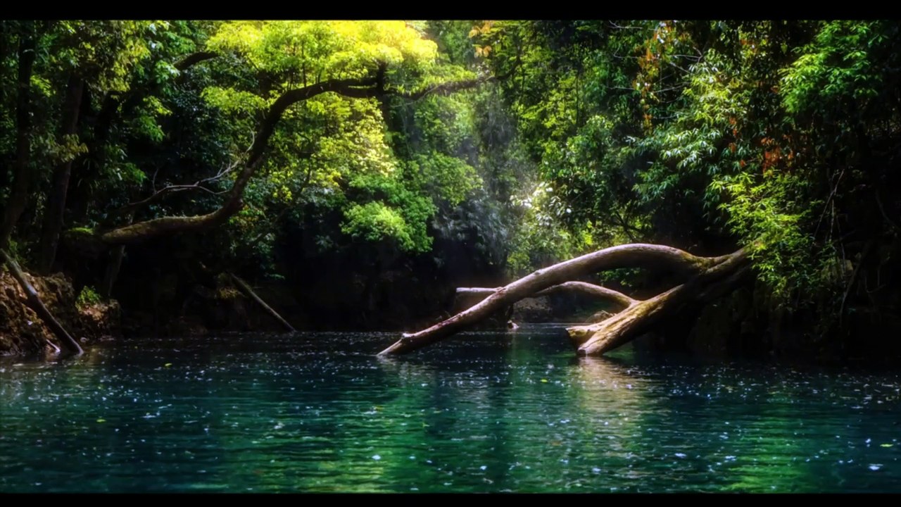 virtual walking forest 4k with couple in love and picnic idea