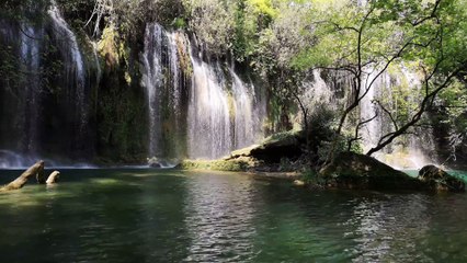 Relax your mind , stress free, Enjoying music with nature