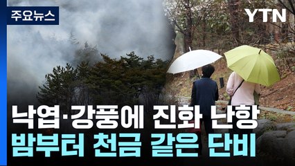 낙엽·강풍에 진화 난항...밤부터 천금같은 단비 / YTN
