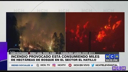 Incontrolable el incendio forestal en El Hatillo