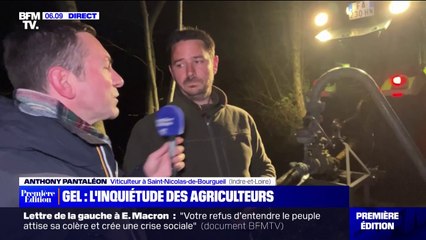 L'inquiétude des agriculteurs face au gel