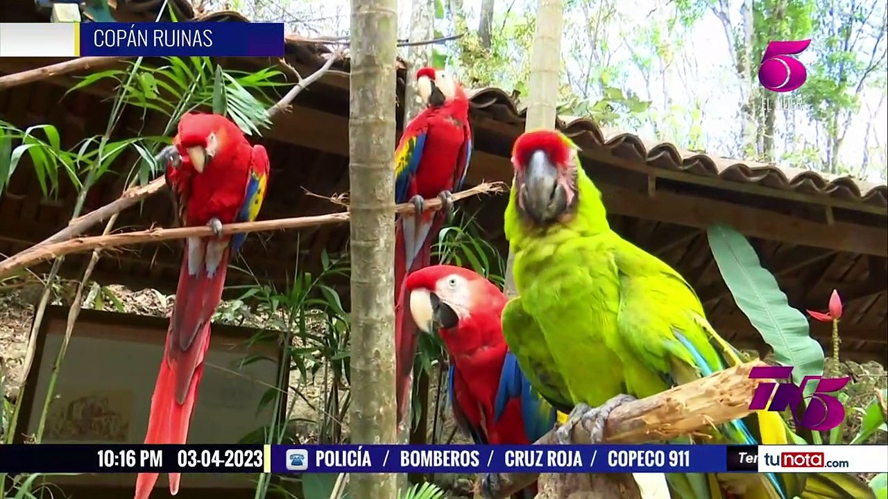 Ruta TN5: Los mágicos lugares del occidente de...