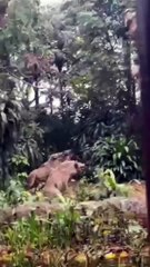 Animals be like? it’s ok ,we can wait