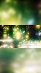 Firefly| why and how they Glow| جگنو
