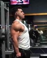Arms workout/bodybuilding
