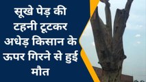बदांयू: सहारनपुर मार्ग पर पेड़ के नीचे दबकर किसान की मौत, जानिए पूरी खबर