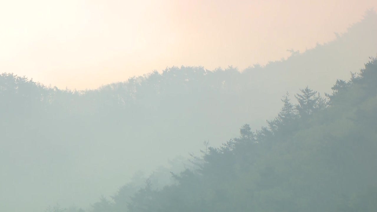 경북 영주 산불 19시간 만에 큰 불길 잡혀...210ha 영향권 / YTN