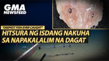 Hitsura ng isdang nakuha sa napakalalim na dagat | GMA News Feed