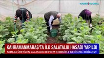 Kahramanmaraş'ta ilk salatalık hasadı yapıldı