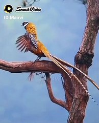 Beautiful recitation of Quran .mp4