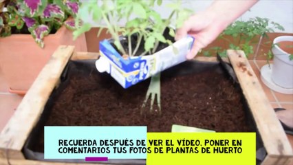 Como hacer un HUERTO en MACETAS o macetohuerto paso a paso