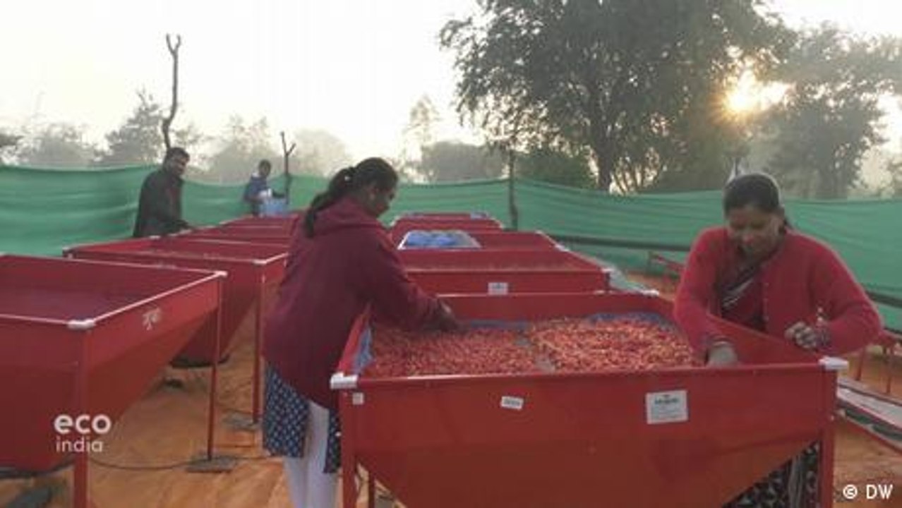 Salvaging crop waste destined for the dump