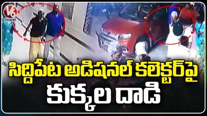 Stray Dogs Strike Siddipet Additional Collector Srinivas Reddy  _ V6 News (1)