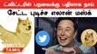 Twitter logo changed| Dogecoin Cryptocurrencyயின் அடையாளமான ஷிபா இனுவை Twitter logoவாக மாற்றிய மஸ்க்