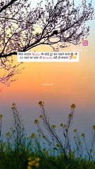 मिल जाएगा Mujhe भी कोई टूट कर चाहने वाला‍♀️ Ab शहर का शहर तो Bewafa नहीं हो सकता 