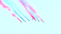 [영상] 블랙이글스 '벚꽃 비행' / YTN