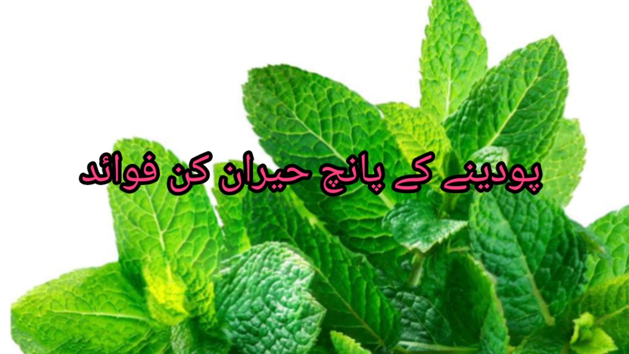 top 5 health benefits of peppermint|Five Surprising Benefits of Peppermint| پودینے کے پانچ حیران کن فوائد