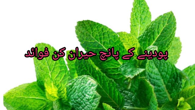 top 5 health benefits of peppermint|Five Surprising Benefits of Peppermint| پودینے کے پانچ حیران کن فوائد