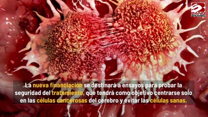 Nueva tecnología de tratamiento contra el cáncer podría ser revolucionaria