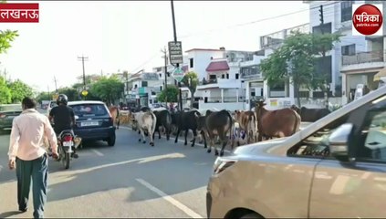 Video :नहीं हो रहा मुख्यमंत्री के आदेशों का पालन